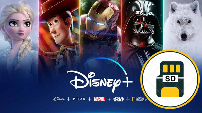 Disney+ Videos auf SD-Karte