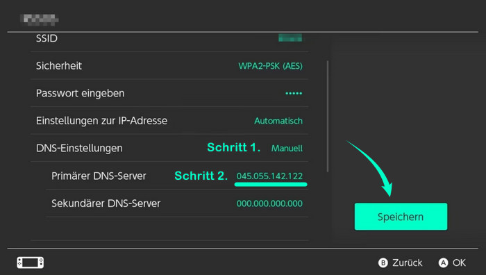 DNS-Einstellungen auswählen.