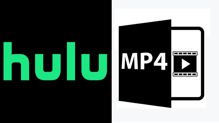 Hulu Videos als MP4 herunterladen