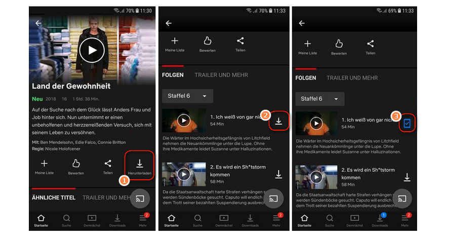 Netflix-Videos herunterladen