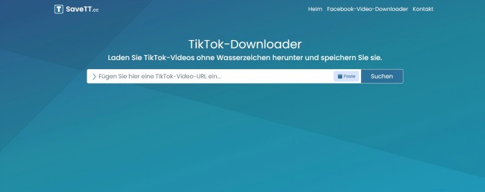 Speichern Sie TikTok-Video auf die Website